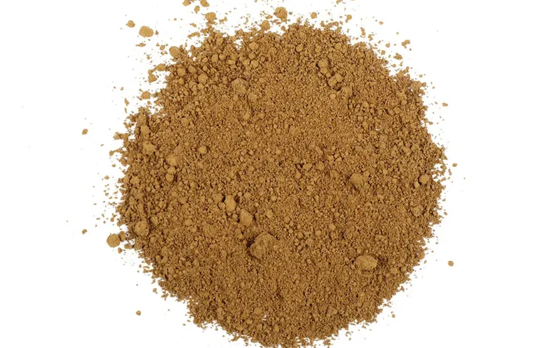 Wholesale Organic Chaga Mushroom Extract Powder (≥2% Polysaccharides)