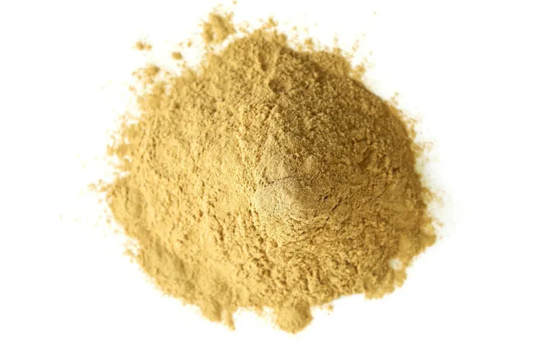 Wholesale 30% Beta Glucan Cordyceps Militaris Extract Powder