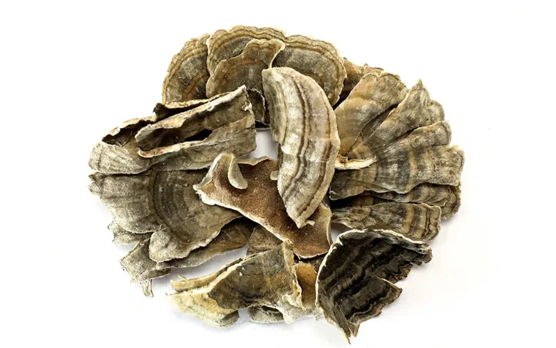 Wholesale Cordyceps Militaris & Sinensis Mycelium Extract Powder