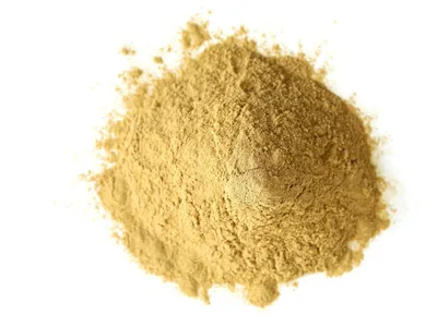 Wholesale Organic Hericium Erinaceus (Lion's Mane) Extract Powder (50% Extract) Image 3