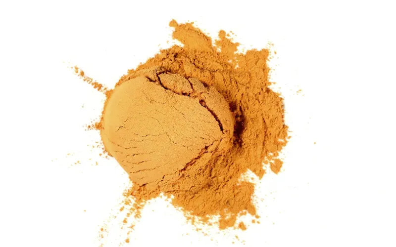 Wholesale Organic Hericium Erinaceus (Lion's Mane) Extract Powder (Beta D Glucan)