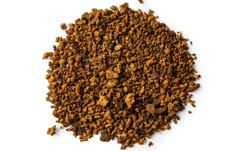 Wholesale Organic Reishi Mushroom Extract Powder & Capsules