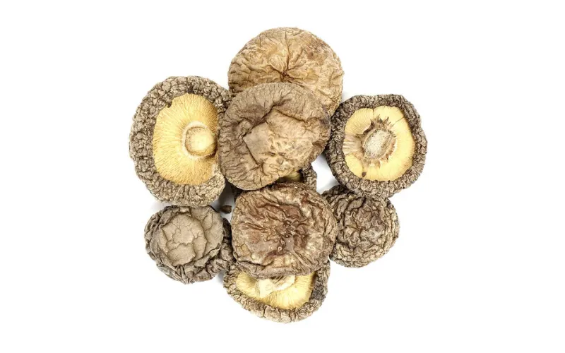 Wholesale Organic Reishi Mushroom Shell-Broken Spore Powder